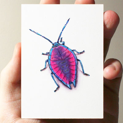 "Lyramorpha Rosea"  Acrylic on Panel, 3,5x2,5in, 2019