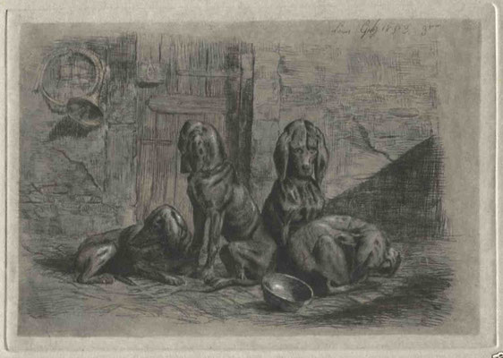 Guy, 1853 les chiens assis, 14x20