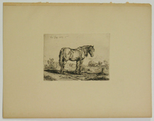 Guy, 1853, Le cheval