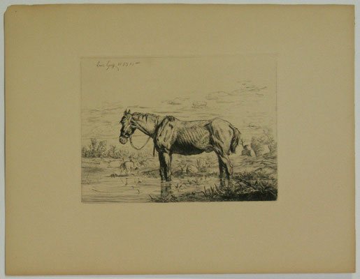 Guy, 1853, Le vieux cheval les pattes dans l'eau