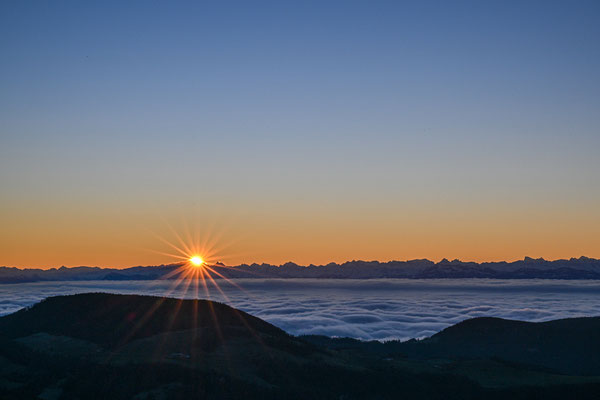 Vogelberg SO, 29.11.24, Sonnenaufgang