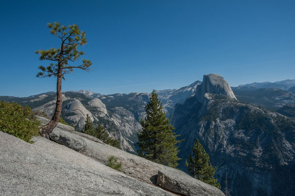 Yosemite NP