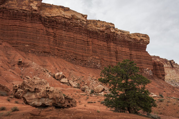 Capitol Reef NP