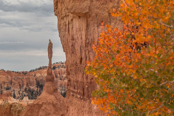 Bryce Canyon NP