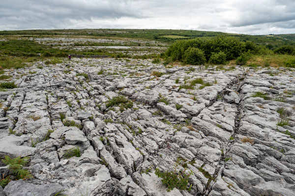 The Burren