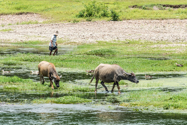 Am Li-Fluss zwischen Guilin und Yangshuo