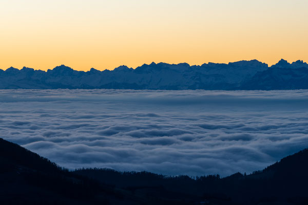 Vogelberg SO, 29.11.24, vor Sonnenaufgang