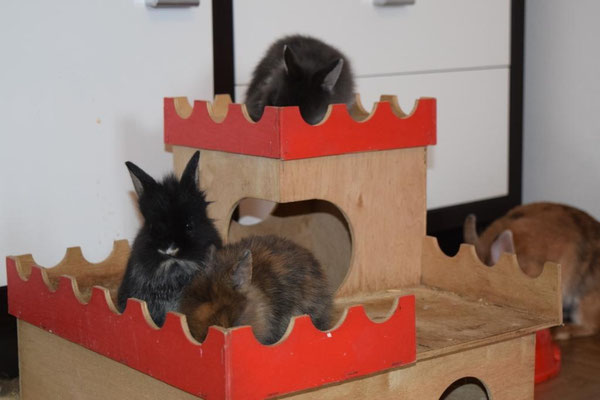Belvina, Beria und Baal