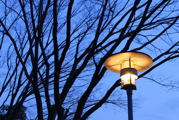 写真：さらら©
