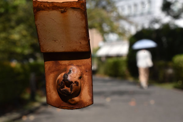 写真：森本ゆきお©