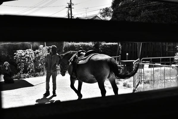 写真：森本ゆきお©