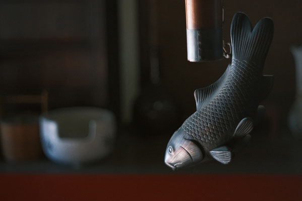 写真：鈴木雅洋©