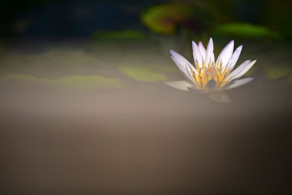 写真：伊藤洋二©
