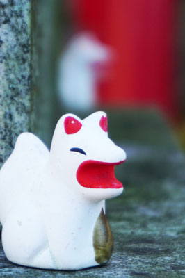 写真：坂　美佐子©