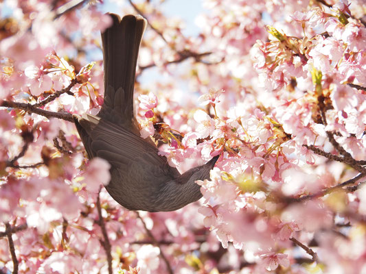 写真：横濱洋子©