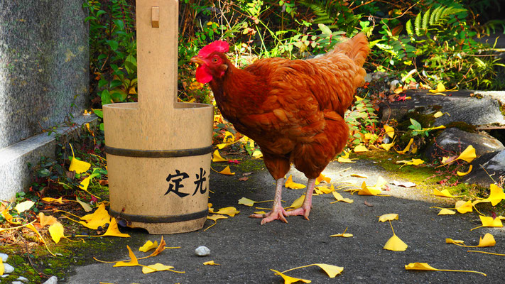写真：浅野公佐©