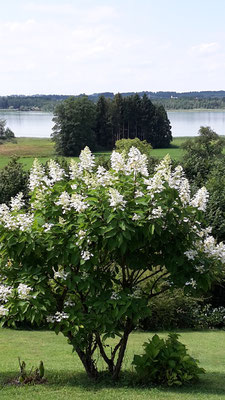 Ausblick von der Terrasse über den Simssee von unserer Ferienwohnung am Simssee bei Rosenheim