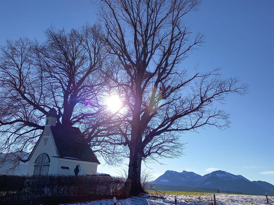 Winterlandschaft mit Ausblick in die Alpen. Genießen Sie Ihre Weihnachtsferien in Bayern