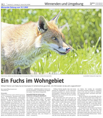 2022_01_15_WiZ_Fuchs_im_Wohngebiet