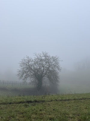 Künstlerin aus Bensheim, Meditation um Kunst zu erschaffen