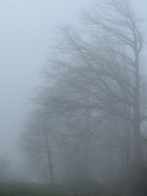 Waldspaziergang für kreative Gedanke in abstrakter Kunst, Künstlerin aus Bensheim