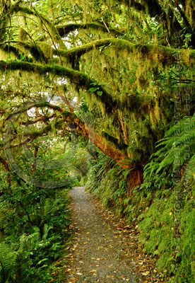 0009PC Routeburn Track