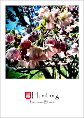 0037TC Hamburg - Planten un Blomen