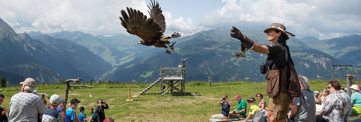 Adlerbühne am Ahorn 