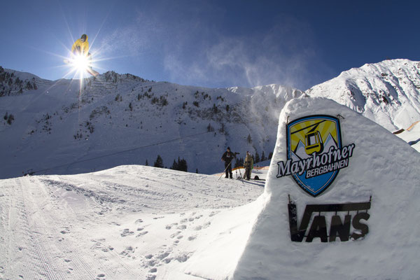 Vans Park Penken