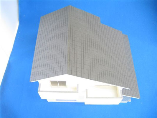 1/50　大屋根
