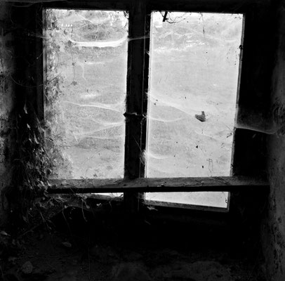 Detail im Schloss Rothschönberg bei Meißen