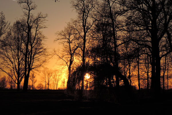 Abend im Park von Schmochtitz