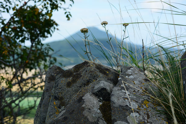 Auf dem Plesivec im Böhmischen Mittelgebirge