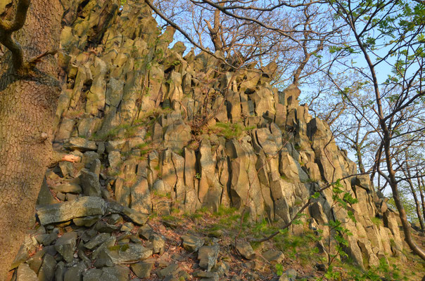 Basaltsäulen an der Milleschauer Wostray