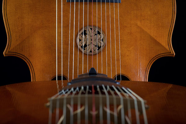 Saitensansicht mit 2 Lirone - Violworks