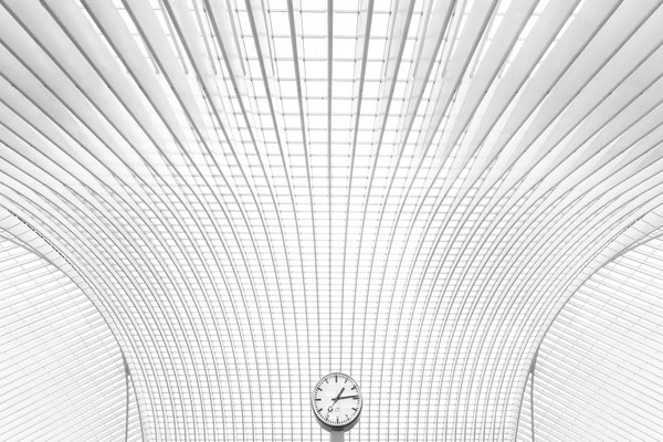 Timelines