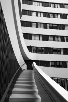 Hilton Lines