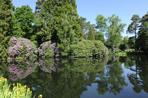 Ohlsdorfer Friedhof