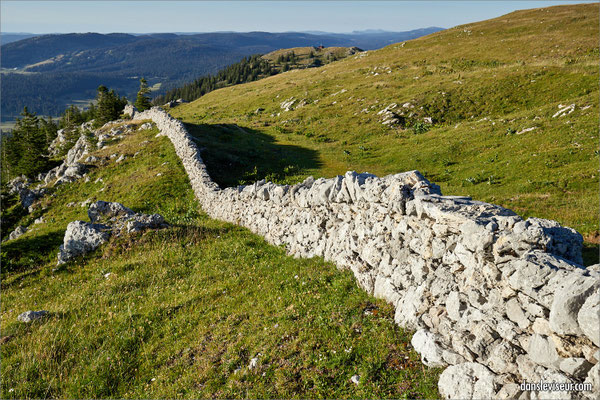 Murger, La Dôle, Jura, Suisse