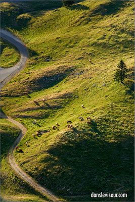 La Dôle, Jura, Suisse