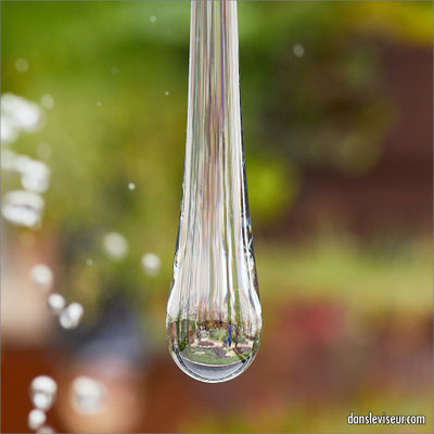 Jardin éphémère 2025 - Place Stanislas, Nancy, France