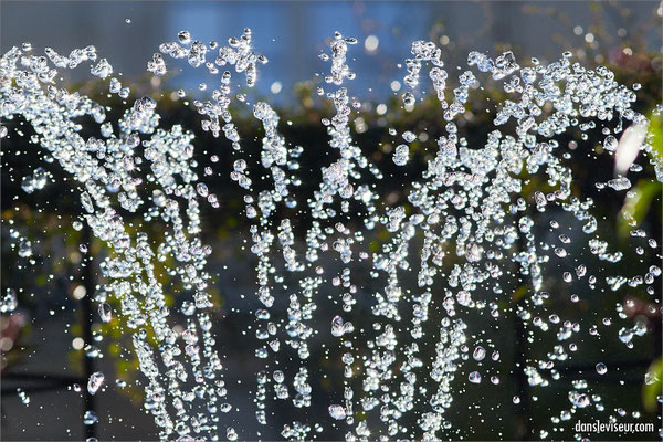 Jardin éphémère 2025 - Place Stanislas, Nancy, France