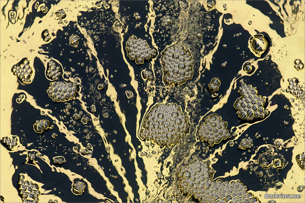 Jardin éphémère 2025 - Place Stanislas, Nancy, France