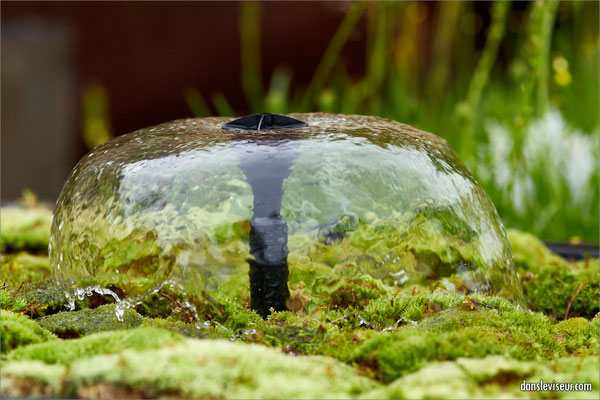 Jardin éphémère 2025 - Place Stanislas, Nancy, France