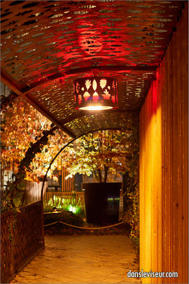 Jardin éphémère 2025 - Place Stanislas, Nancy, France