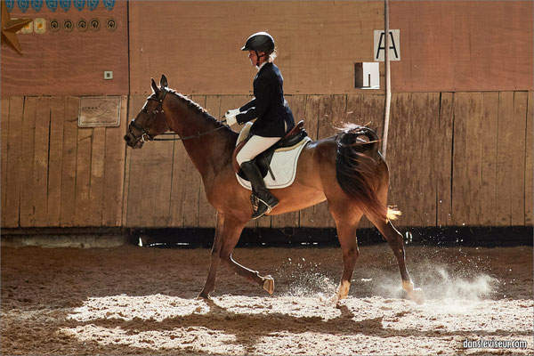 AKHAL TÉKÉ Championnat d'Europe, Nancy, France