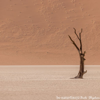 Deadvlei, Namib-Naukluft NP, Namibia