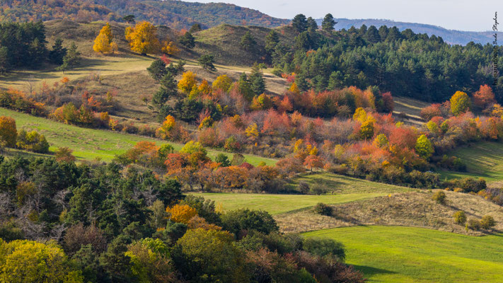 Herbst im Harz, Deutschland
