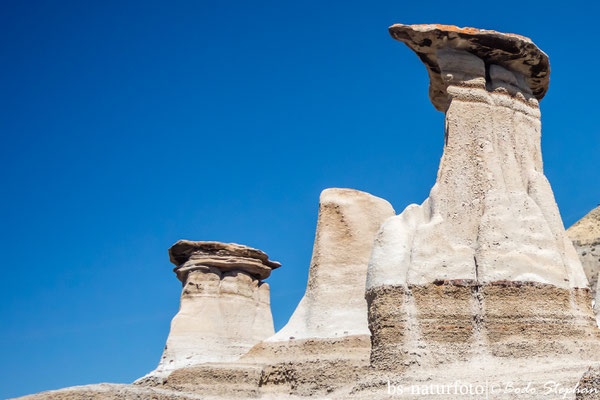 Hoodoos bei Drumheller, Alberta, Kanada
