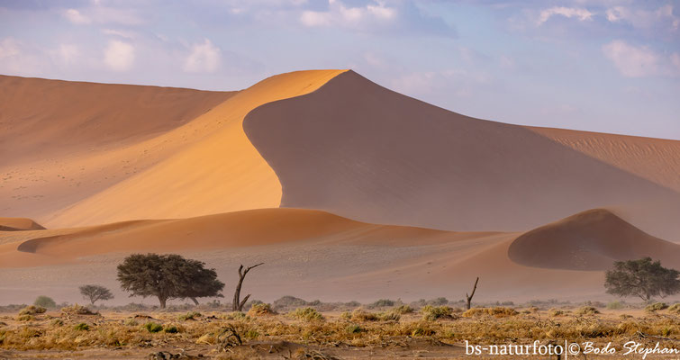 Düne in der Namibwüste, Namib-Naukluft NP, Namibia